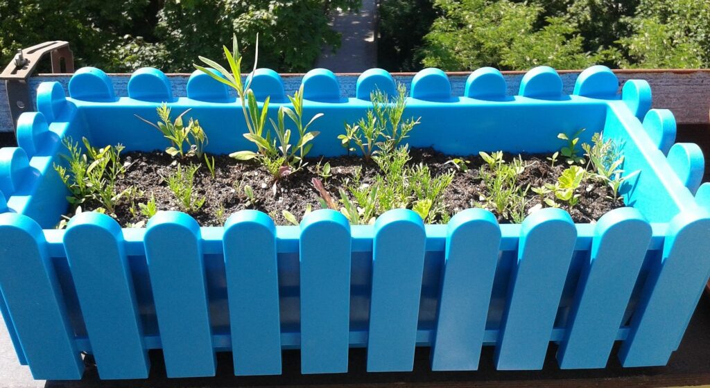 Ein blauer Balkonkasten mit Erde und Keimlingen von Wildpflanzen, Blick ins Grüne dahinter