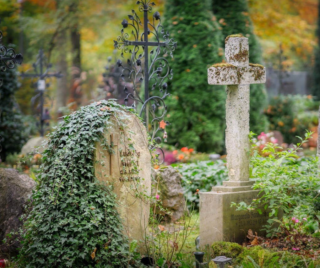 Das Bild ist dekorativ. Es zeigt einen naturnahen Friedhof. In Nahaufnahme einen Grabstein, der von Efeu überwuchert ist und ein Grabkreuz aus Stein, das mit Moos und Flechten bewachsen ist. 